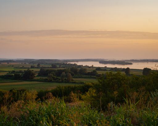 A beautiful landscape with grass, trees and sea at distance during the sunset