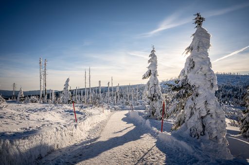 A snowy landscape of Dreisesselberg in winter on the border of Germany and the Czech Republic, Sumava National Park