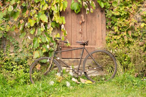 A shot of a 100-year-old bicycle in the background of an old farmhouse