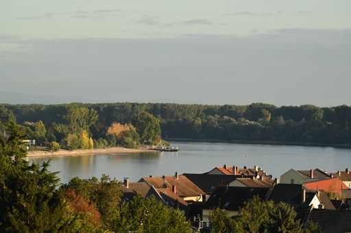 A scenic view of the Rhein river in Germany and the ferry going across against the houses and greenery