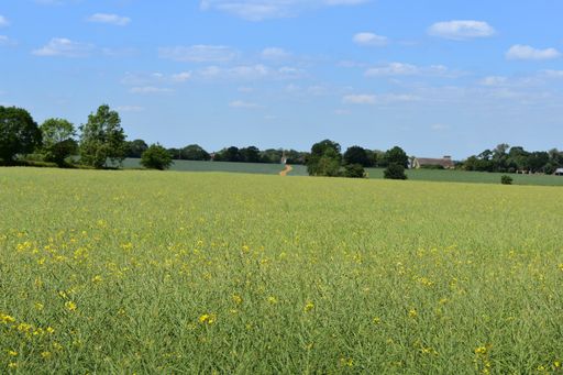 A beautiful shot of a grassland on cloudy sky background