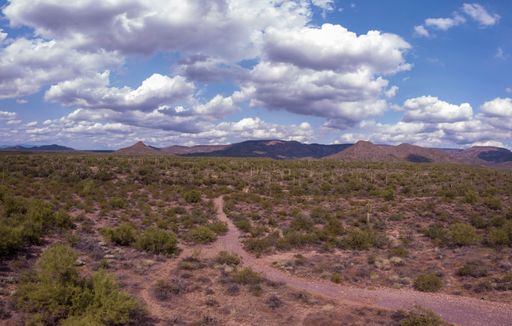 A beautiful view of Tonto National Forest in Arizona under a cloudy sky