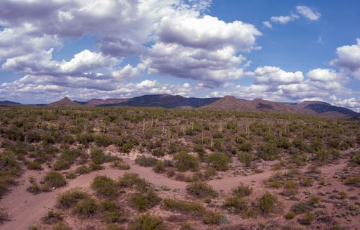 A beautiful view of Tonto National Forest in Arizona under a cloudy sky