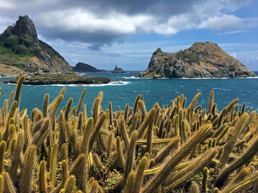 View of Morro do Chapeu and Cabeluda Island, Sueste Bay, Ponta das Caras, Fernando de Noronha, Brazil