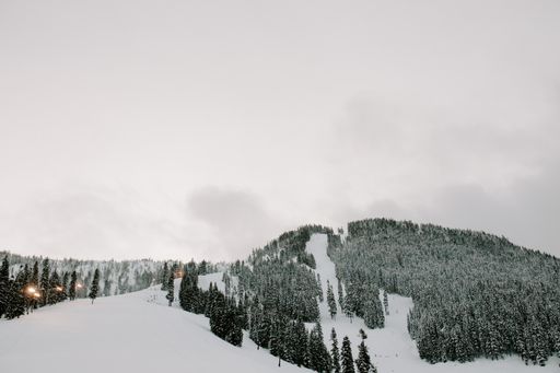 A high angle shot of a tree forest covered in snow in winter under the cloudy sky