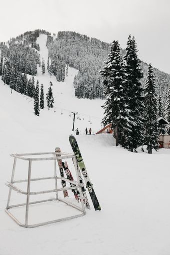 A vertical shot of 2-pairs of ski on a metal stand on a mountain slope and the tree forest covered in snow