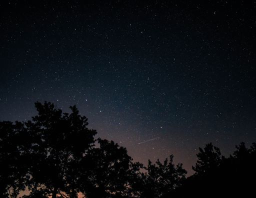 A mesmerizing starry sky over a forest