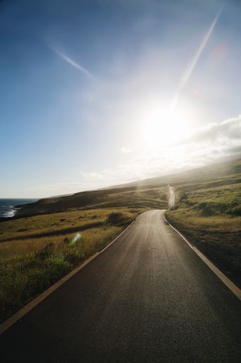 A vertical shot of an empty road during daytime leading to Hana in Hawaii