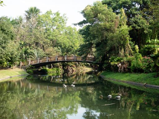 A beautiful shot of a bridge over a calm pond in a park