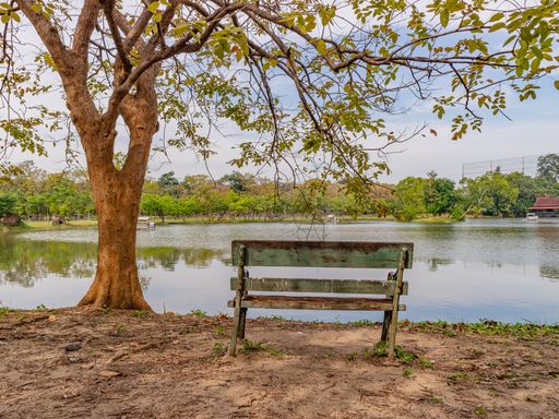 A Green Wooden Slanted Park Bench Under a Tree Next to a Lake in Bangkok, Thailand.