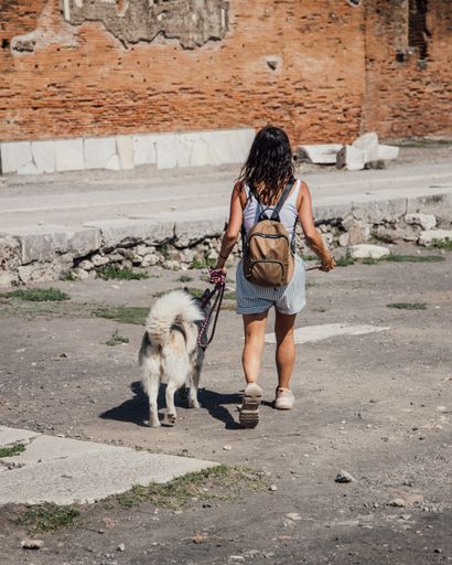 A vertical shot of a woman walking her dog in an empty street with an orange wall on the background