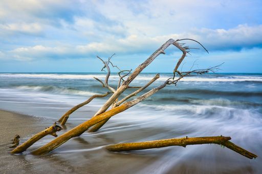A piece of wood stuck in sand near the sea during a stormy weather
