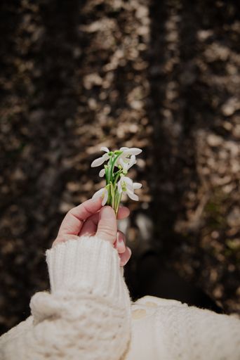 A selective focus shot of a female hand holding snowdrop