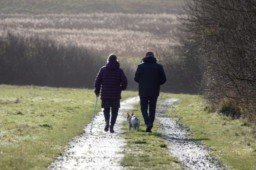 A delightful rear view shot of a senior couple walking their dog in the countryside on a bright, sunny winter's day.