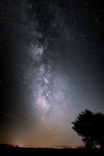 A vertical shot of a beautiful night sky full of stars