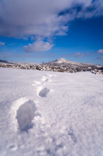 The steps of foot in winter valley