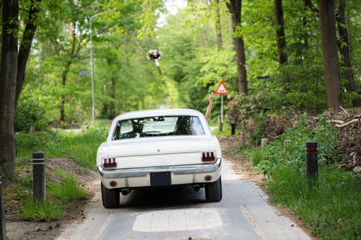 A vintage car with the newlywed with the female tossing the bouquet