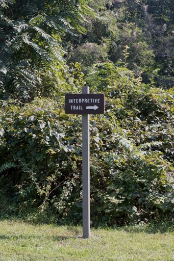 A vertical shot of a wooden sign "interpretive trail"