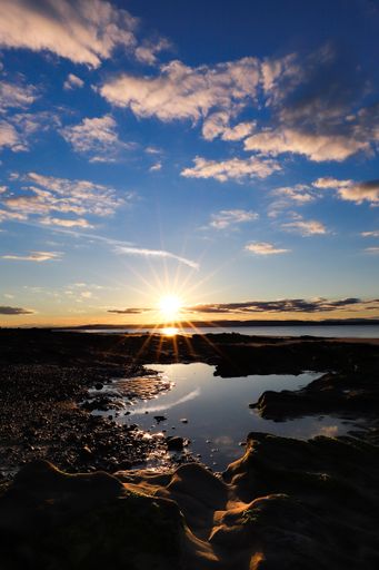 A vertical shot of the sun shining brightly over a small pond during the sunset