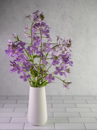 A lilac flowers in a white vase on a subway tile