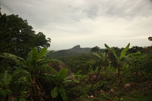 A beautiful scene of green plants and trees against a cloudy gray sky in Kabala, Sierra Leone