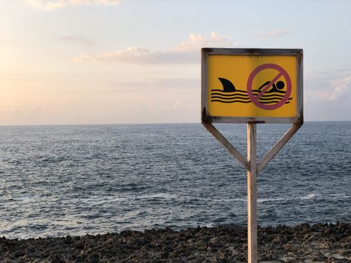 A shot of a no swimming sign in the beach