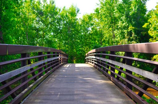 The beautiful view of the empty wooden bridge against the green foliage. Wisconsin.
