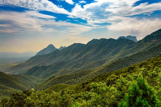 A shot of the breathtaking mountains covered in forests gleaming under the cloudy sky
