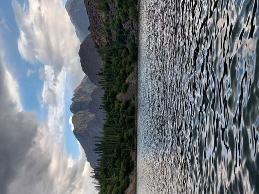 A vertical shot of a forest and mountains in the foreground of the lake under the cloudy sky