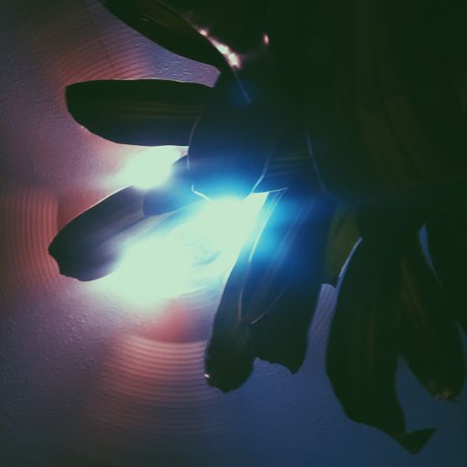 A vertical closeup shot of a light shining through the leaves of a plant