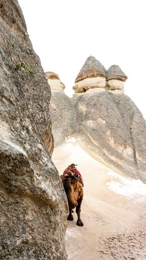 A vertical shot of a camel with big stones on a background in Pasabag Monks Valley in Cappadocia, Turkey