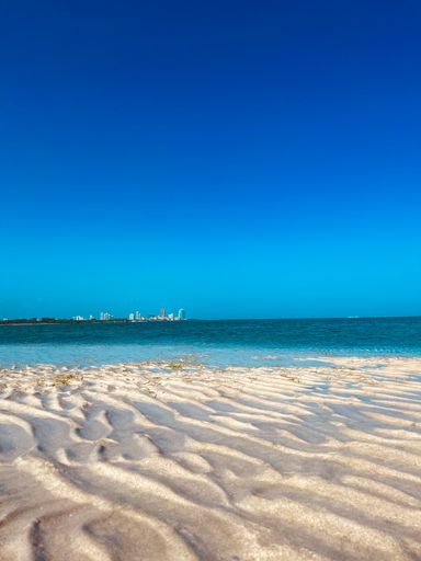 A vertical shot of the Miami Beach under the cloudless sky, Florida, USA