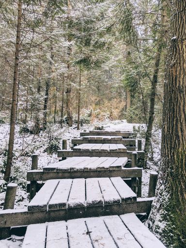 A vertical shot of a road made out of wooden planks covered in snow, going through a snowy forest