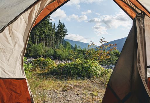 A horizontal shot of a mountain forest done from inside of a tent