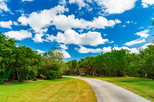 A beautiful afternoon in Fairchild Tropical Botanical Garden, Miami