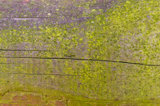 A closeup of a wooden surface with green drops of paint on it - good for backgrounds