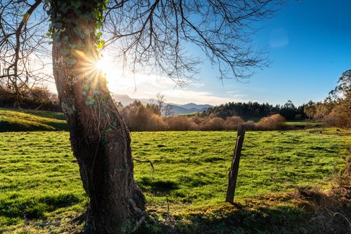 A landscape of a field covered in greenery surrounded by hills under the sunlight at daytime