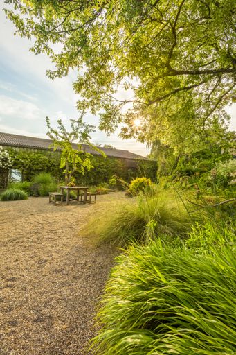 A vertical shot of grasses and trees with a wooden table and chairs under the sunlight