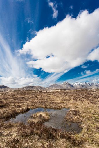 A vertical shot of a bog with tall mountains and a cloudy blue sky in the background