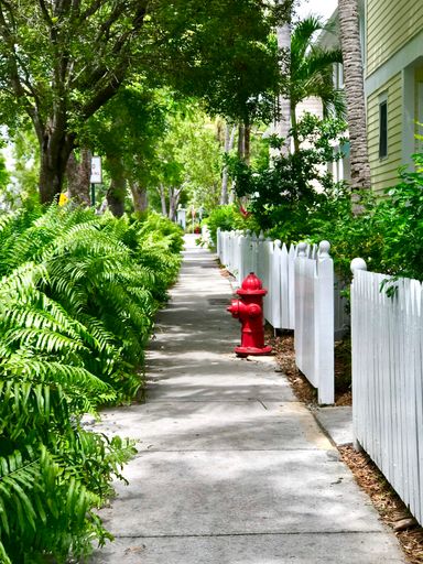 A closeup of a fire hydrant near a white fence in the street