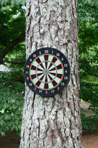 A vertical shot of a dartboard hanging on a tree on a spring day