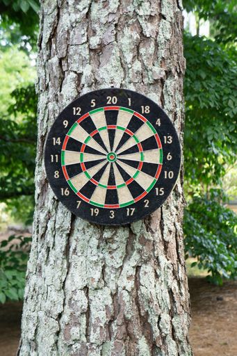 A vertical shot of a dartboard hanging on a tree in the park