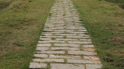 A shot of a way path made from bricks in green landscape
