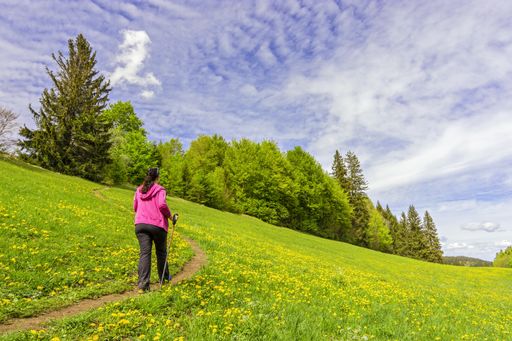 A view of female hiking in a green landscape covered in trees during the daytime