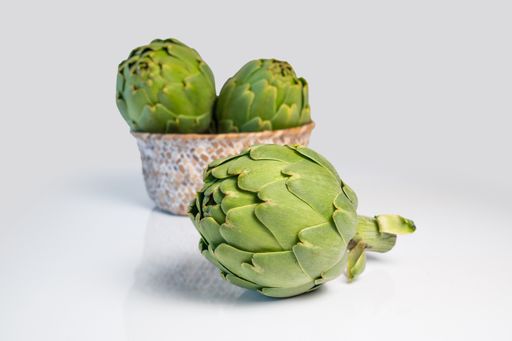 A closeup of three cynara plants in a pot and on a white surface
