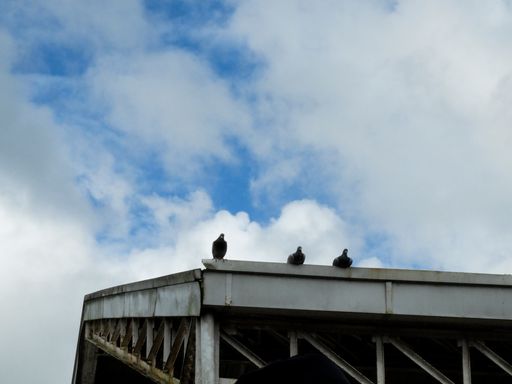 A low angle shot of three pigeons perched on a roof of an old building against blue cloudy sky