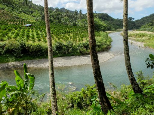 A beautiful landscape view of a shallow river flowing between green planted meadows in bright sunlight