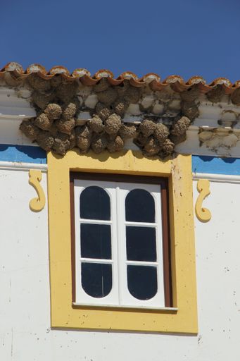 A vertical shot of several bird nests above the window on a colorful house