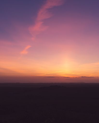 A vertical shot of a field under the breathtaking purple sky -perfect for wallpaper