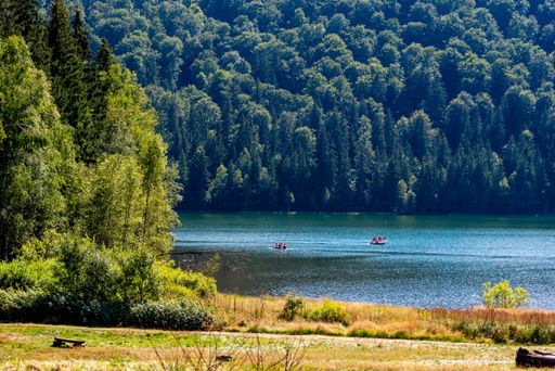 A mesmerizing view of a lake surrounded by dense forest against a cloudy sky